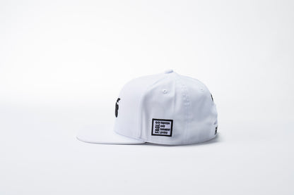 BASIC W FLAT VISOR CAP